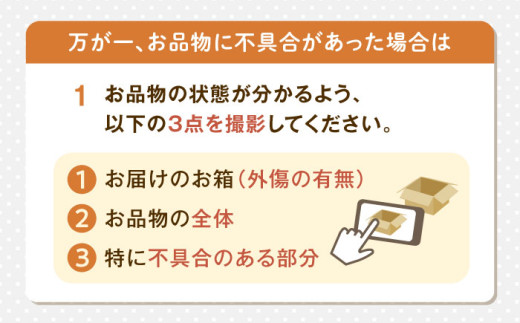 サイダー 炭酸 炭酸入り 地サイダー レトロ 足寄町 北海道