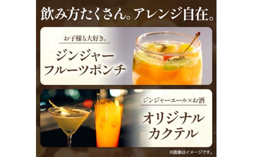 徳島県上板町のふるさと納税 ジンジャーエール 250ml×30缶 光食品株式会社《30日以内出荷予定(土日祝除く)》徳島県 上板町 ジュース 炭酸水 光食品 ジンジャーエール オーガニック 有機