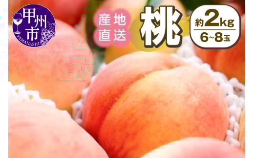 甲州市産 産地直送 桃 約2.0kg（6～8玉）【2025年発送】（SSI）B12-1830【桃 もも モモ 令和7年発送 期間限定 山梨県産 甲州市 フルーツ 果物】 2095633 - 山梨県甲州市
