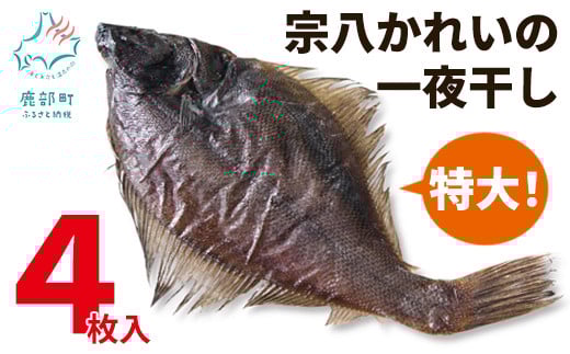 【数量限定】【緊急支援品】宗八かれいの一夜干し 4枚入 冷凍 事業者支援 678520 - 北海道鹿部町