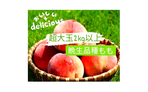 晩生品種3～6玉入り農家直送　2kg以上【1178180】 2096317 - 山梨県山梨市
