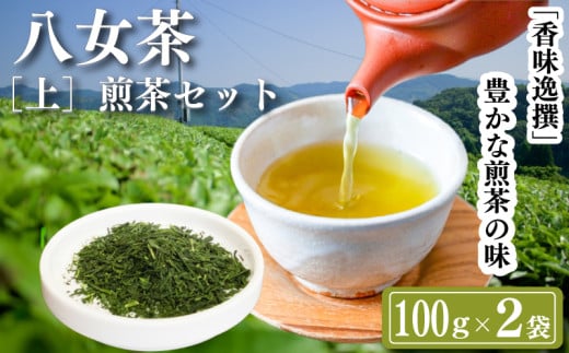 八女茶　【上】煎茶セット　100g×2袋