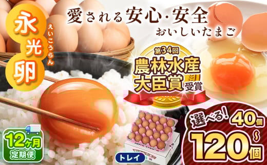 【 定期便 12回 】メディア紹介多数！ 永光卵 120個 卵 たまご 選べる 個数 回数 トレイ タイプ | スピード発送 送料無料 えいこうらん 光永ファーム みつなが 目玉焼き だし巻き玉子 おいしい卵 ゆうパック 君津市 きみつ 千葉県 すぐ届く 2033321 - 千葉県君津市