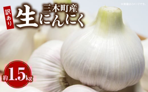 三木町産訳あり生にんにく 約1.5kg_mk059-005 1010446 - 香川県三木町