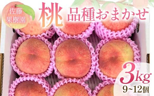桃 品種おまかせ 3kg 9～12個 もも 贈答 プレゼント ＜佐藤果樹園＞ モモ 桃 デザート フルーツ 果物 F7X-0281 2143105 - 福島県須賀川市
