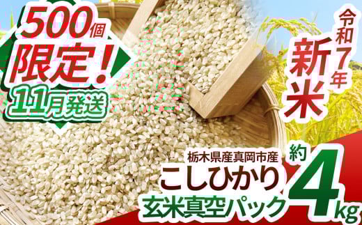【先行予約】【ふるさと納税】いちご農家さん応援米！令和7年度新米 真岡市産こしひかり（玄米真空パック) 約2kg×2 | 新米 真岡市産 こしひかり 真空 パック 米  お米 玄米 もちもち  限定 ふるさと納税 先行 予約 栃木県 真岡市 送料無料 