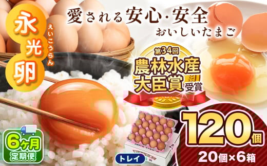 【 定期便 6回 】メディア紹介多数！ 永光卵 120個 卵 たまご 選べる 個数 回数 トレイ タイプ | 送料無料 えいこうらん 光永ファーム みつなが オムレツ たまかけごはん おいしい卵 ゆうパック 君津市 きみつ 千葉県 2033317 - 千葉県君津市