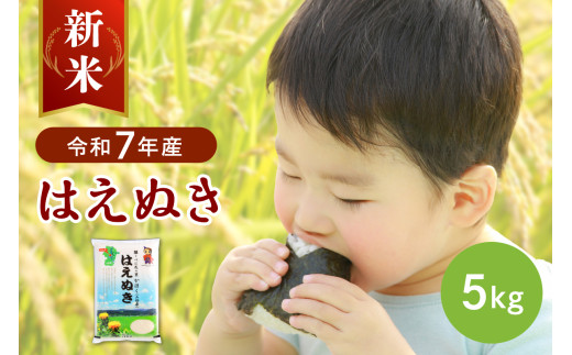 【令和7年産米】2025年10月中旬発送 はえぬき5kg 山形県産 【JAさがえ西村山】