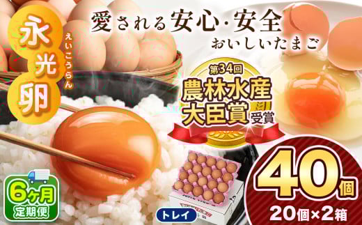 【 定期便 6回 】メディア紹介多数！ 永光卵 40個 卵 たまご 選べる 個数 回数 トレイ タイプ | 送料無料 えいこうらん 光永ファーム みつなが 濃厚卵 ゆでたまご おいしい卵 ゆうパック 君津市 きみつ 千葉県  2033315 - 千葉県君津市