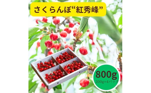 さくらんぼ(紅秀峰)800g 0055-2504 881021 - 山形県上山市