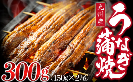 うなぎ蒲焼 国産 150g × 2尾 (有頭) 蒲焼き ウナギ 鰻 鹿児島県産 人気 オススメ 宮若市 M685-2