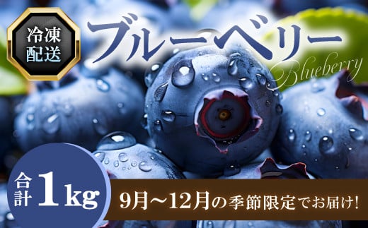 冷凍ブルーベリー【ブルーベリー ぶるーべりー 1kg 冷凍 冷凍ブルーベリー 果物 くだもの フルーツ 産地直送 期間限定 季節限定 早期予約】 2073344 - 島根県益田市