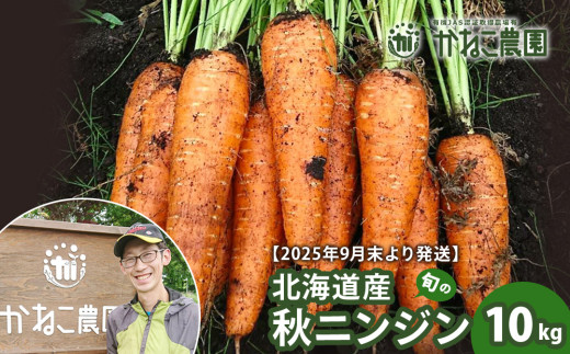 【2025年9月末より発送】北海道産 旬の秋ニンジン 10㎏ 【かねこ農園】