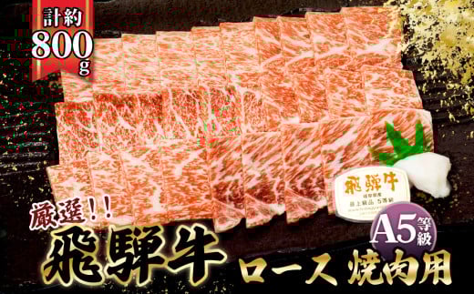 店主こだわり雌牛 飛騨牛A5等級　ロース　焼肉用　約800g [No.065] ／ 牛肉 ブランド牛 やきにく メス牛 冷凍 岐阜県 特産 727556 - 岐阜県山県市