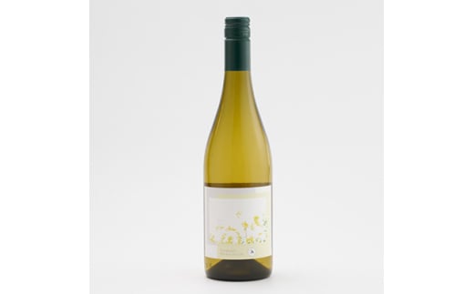 多古ワイン 2022 Blanc(ブラン)シャルドネ・ソーヴィニョンブラン＜白ワイン＞750ml【1617460】 2097833 - 千葉県多古町