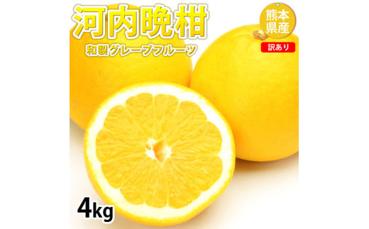 訳あり 河内晩柑 4kg 晩柑 ばんかん 柑橘類 果物 フルーツ 【2025年7月下旬迄発送予定】