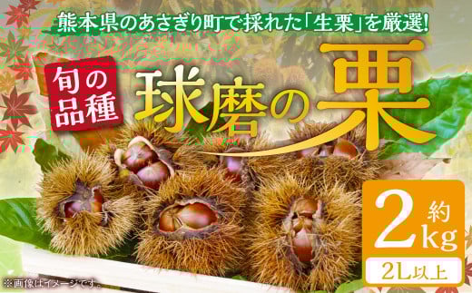 【発送時期:2025年9月上旬~10月上旬】熊本県JAくま産 球磨の栗 2kg(2L以上 旬な品種) 393090 - 熊本県あさぎり町