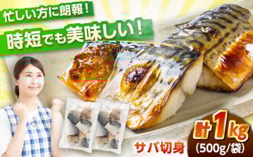 サバ 切身 1kg|冷凍 鯖 さば 切り身 福井 福井県 小浜市 個包装 500g パック 塩 海鮮 焼き魚 塩サバ 鯖 切身 塩さば サバ 鯖 冷凍サバ [配送不可地域:北海道・沖縄・離島] [BFCS013]