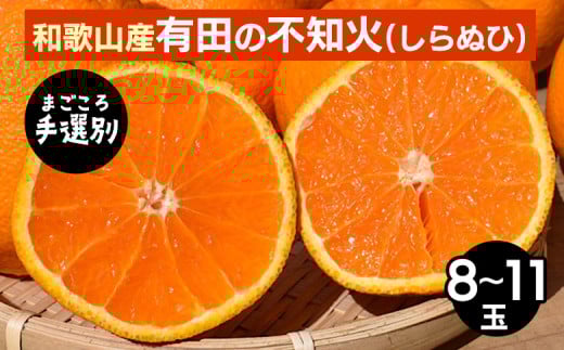 【まごころ手選別】和歌山産　有田の不知火(しらぬひ)8～11玉 ※2026年2月上旬～4月下旬頃に順次発送予定
