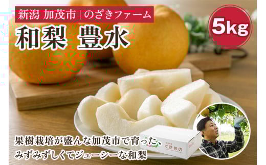 新潟県加茂市産 和梨 豊水5kg（8～16玉）〈9月上旬～順次出荷〉 なし ナシ こうすい 果物 フルーツ 秋の味覚 加茂市 のざきファーム