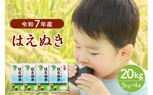 【令和7年産米】2026年1月下旬発送 はえぬき20kg（5kg×4袋）山形県産 【JAさがえ西村山】