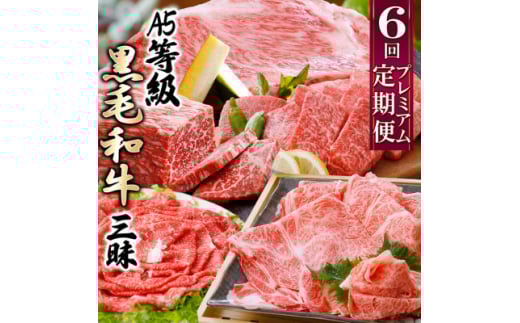 定期便(6回配送)A5等級鹿児島県産黒毛和牛三昧 II-0016_ 肉 お肉 牛肉 ロース サーロイン ステーキ すき焼き すきやき しゃぶしゃぶ 焼肉 切り落とし 人気 送料無料 【1166763】 1526660 - 鹿児島県枕崎市