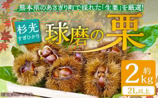 【発送時期:2025年9月上旬~】熊本県JAくま産 球磨の栗 杉光 2kg(2L以上) 397575 - 熊本県あさぎり町