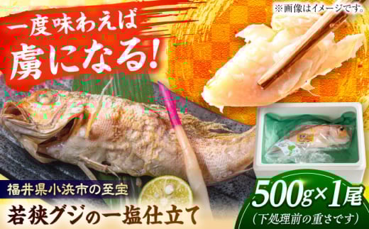 若狭グジの一塩仕立て 500g×1尾  【配送不可地域：北海道・沖縄・離島】  [BFCS001]  1394191 - 福井県小浜市