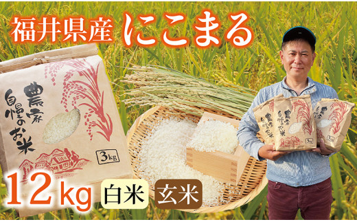 〈先行予約・新米〉にこまる 12kg(3kg×4袋) /令和7年 福井県産 (白米)2025年12月発送 少量サイズ便利 2092906 - 福井県越前市