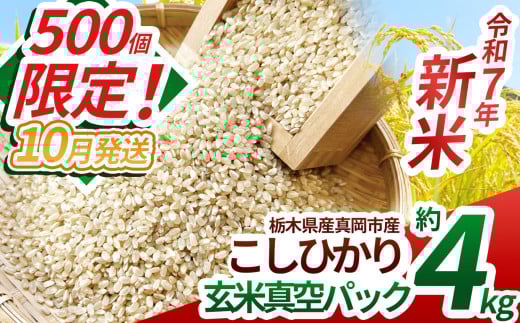 【先行予約】【ふるさと納税】いちご農家さん応援米！令和7年度新米 真岡市産こしひかり（玄米真空パック) 約2kg×2 | 新米 真岡市産 こしひかり 真空 パック 米  お米 玄米 もちもち  限定 ふるさと納税 先行 予約 栃木県 真岡市 送料無料 