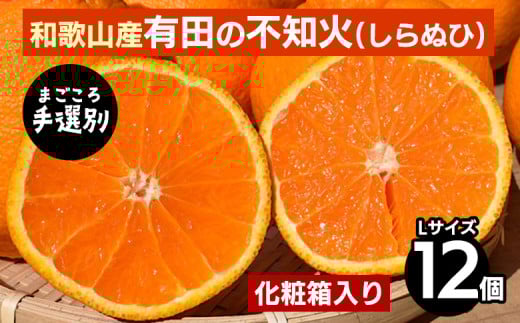 【まごころ手選別】和歌山産　有田の不知火(しらぬひ) 化粧箱(フルーツキャップ付き)Lサイズ12個入り ※2026年2月上旬～4月下旬頃に順次発送予定