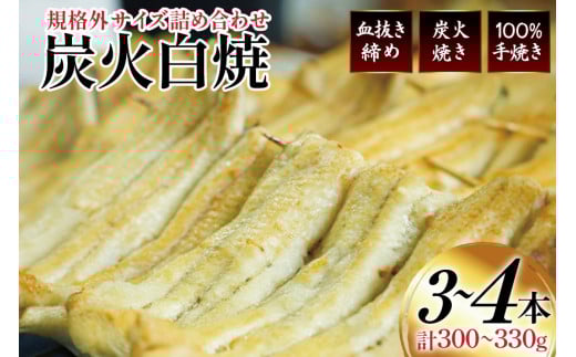 うなぎ 国産 訳あり 白焼 血抜き締め 300～330g セット 3～4本程度 [ヤママツ村田商店 静岡県 吉田町 22424596-a] 鰻 ウナギ unagi 白焼き うなぎ白焼 鰻白焼 炭火焼 冷凍 規格外