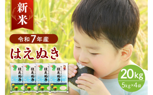 【令和7年産米】2025年12月中旬発送 はえぬき20kg（5kg×4袋）山形県産 【JAさがえ西村山】