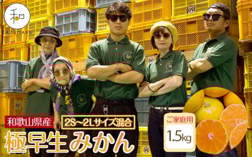 家庭用 森本農園の手選別 極早生みかん 1.5kg 和歌山県産 2S~2Lサイズ混合 ［北海道・沖縄・離島配送不可］［RN1］［2025年10月上旬から順次発送］ 1332161 - 和歌山県海南市