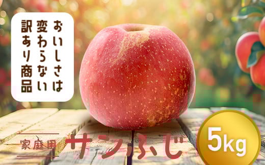 【令和6年産先行予約】 〈訳あり品 家庭用〉 りんご 「サンふじ」 約5kg バラ詰め 《令和6年12月上旬～令和7年2月下旬発送》 『カネタ髙橋青果』 リンゴ 山形県 南陽市 [1958]