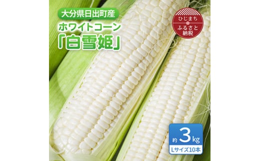 大分県日出町産　ホワイトコーン「白雪姫」【1615424】