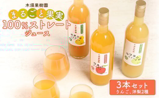 木須果樹園のまるごと果実の100％ストレートジュース３種セット（洋ナシ、りんご） ジュース セット りんご なし 梨 ラフランス ゼネラルレクラーク 取り寄せ 果物 ふるさと納税 宮城県 白石市【12158】 1334400 - 宮城県白石市