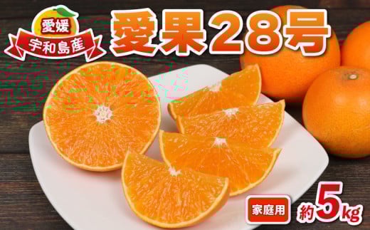 愛果28号 5kg 愛媛みかん 兵頭農園 みかん mikan 愛媛ミカン あいか 高級柑橘 愛媛蜜柑 果物 フルーツ 柑橘 みかん 高級 ブランド ゼリー プルプル 甘い 美味しい 人気 お取り寄せ 産直 愛媛県産 限定 品種 産地直送 農家直送 数量限定 国産 愛媛 宇和島 B016-055002 1278997 - 愛媛県宇和島市
