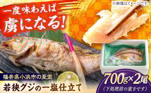 若狭グジの一塩仕立て 700g×2尾  【配送不可地域：北海道・沖縄・離島】  [BFCS004]  1394188 - 福井県小浜市