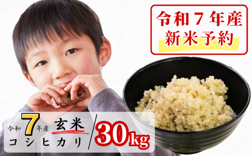 《令和7年産新米予約・10月ごろよりお届け開始》玄米 30kg 令和7年産 コシヒカリ 岡山 あわくら源流米 K-ad-AECA 1973746 - 岡山県西粟倉村
