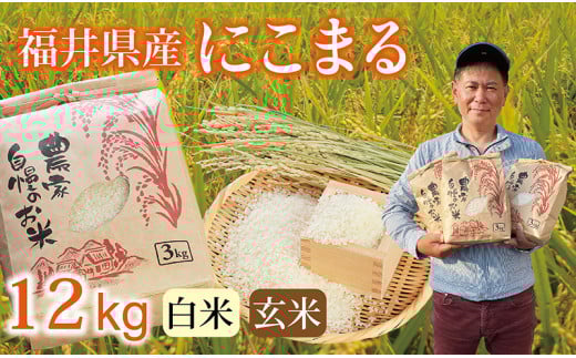 〈先行予約・新米〉にこまる 12kg(3kg×4袋) /令和7年 福井県産 (玄米)2025年12月発送 少量サイズ便利 2092907 - 福井県越前市