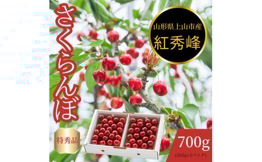 さくらんぼ（紅秀峰）７００ｇ　特秀品　0055-2505