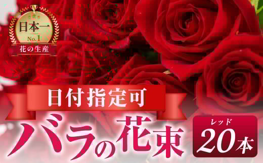 【赤/ラッピング有】バラ 花束 20本 花 薔薇 生花 愛知県 田原市 1558377 - 愛知県田原市