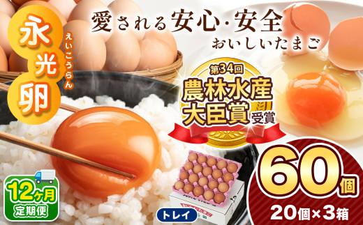 【 定期便 12回 】メディア紹介多数！ 永光卵 60個 卵 たまご 選べる 個数 回数 トレイ タイプ | 送料無料 えいこうらん 光永ファーム  おいしい卵 たまサンゆうパック 君津市 きみつ 千葉県 すぐ届く 2033320 - 千葉県君津市