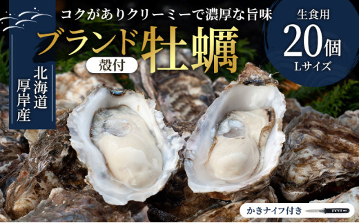厚岸産　殻付カキLサイズ20個（生食用） [№5863-0292]