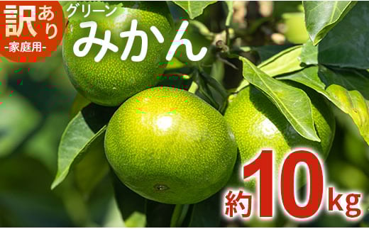 家庭用 訳あり グリーンみかん 約10kg 家庭用 フルーツ みかん 柑橘 be-0069 1001746 - 高知県香南市