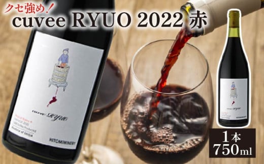 ワイン cuvee RYUO 2022 キュベリュウオウ 1本 750ml 赤 ワイン ライト ボディ 辛口 マスカット ベリー ギフト 日本ワイン 酒  プレゼント 贈り物 ギフト ヒトミワイナリー お酒 地酒 果実酒 ぶどう酒 葡萄酒 滋賀 竜王町 送料無料 1019147 - 滋賀県竜王町