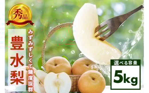 【先行販売/9月上旬から発送】 豊水 梨 秀 5kg 8～14個入 (アカツファーム)  ナシ なし 豊水梨 ギフト 贈答用 秀品 産地 茨城  笠間  完熟 甘い 秋 旬 果物 フルーツ 果汁 新鮮 デザート くだもの ジューシー 秋の味覚 旬の果物 産地直送 茨城県 笠間市 892005 - 茨城県笠間市
