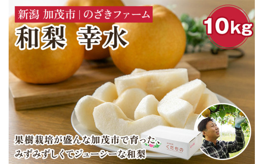 【2025年先行予約】新潟県加茂市産 和梨 幸水10kg（18～32玉）〈8月上旬～順次出荷〉 なし ナシ こうすい 果物 フルーツ 秋の味覚 加茂市 のざきファーム