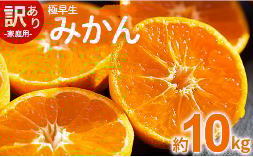 みかん 10kg 極早生 家庭用 訳あり 極早生みかん 約10kg - 家庭用 フルーツ みかん 柑橘 be-0070 1001747 - 高知県香南市